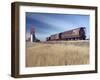 Grain Elevators and Wheat Train, Saskatchewan, Canada-Walter Bibikow-Framed Photographic Print