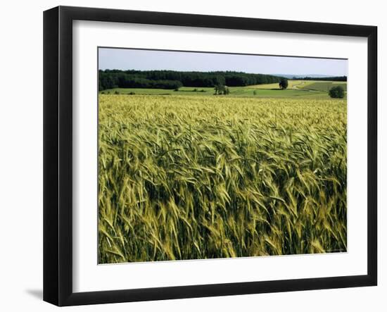 Grain Field, Agricultural Landscape, Near Retz, Lower Austria, Austria, Europe-Ken Gillham-Framed Photographic Print