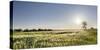 Grain Field In The Usedomer Schweiz, Island Of Usedom. Germany-Martin Zwick-Stretched Canvas