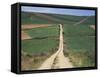 Grain Fields Between Najera and Azofra, La Rioja, Spain-Ken Gillham-Framed Stretched Canvas