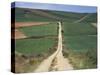Grain Fields Between Najera and Azofra, La Rioja, Spain-Ken Gillham-Stretched Canvas