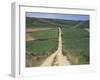 Grain Fields Between Najera and Azofra, La Rioja, Spain-Ken Gillham-Framed Photographic Print