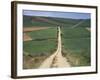Grain Fields Between Najera and Azofra, La Rioja, Spain-Ken Gillham-Framed Photographic Print