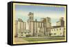 Grain Mills, Stuttgart, Arkansas-null-Framed Stretched Canvas