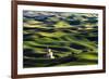 Grain silo and rolling wheat fields viewed from Steptoe Butte, Palouse farming region of Eastern Wa-Adam Jones-Framed Photographic Print