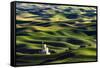 Grain silo and rolling wheat fields viewed from Steptoe Butte, Palouse farming region of Eastern Wa-Adam Jones-Framed Stretched Canvas