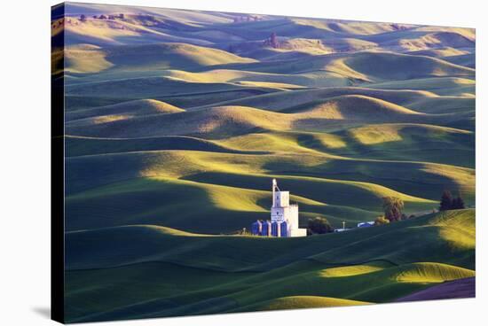 Grain Silo, Palouse Country, Washington, USA-Terry Eggers-Stretched Canvas