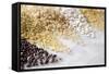 Grain Still Life: Brown Rice, Millet, Rice, Pearl Barley, Amaranth-Amana Images Inc.-Framed Stretched Canvas