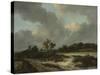 Grainfields, c.1660-Jacob Isaaksz. Or Isaacksz. Van Ruisdael-Stretched Canvas