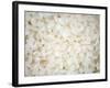 Grains Close up-Nicole Katano-Framed Photo