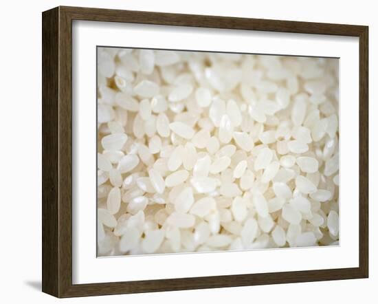 Grains Close up-Nicole Katano-Framed Photo