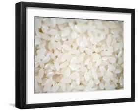 Grains Close up-Nicole Katano-Framed Photo