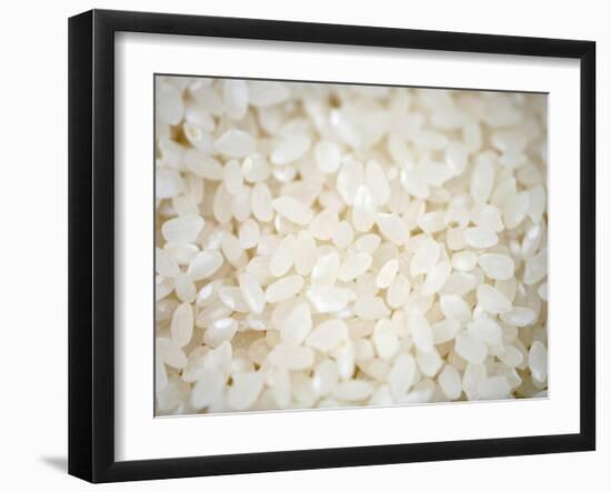 Grains Close up-Nicole Katano-Framed Photo