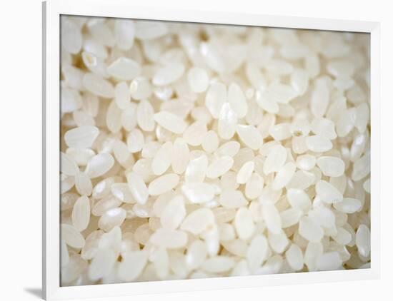 Grains Close up-Nicole Katano-Framed Photo