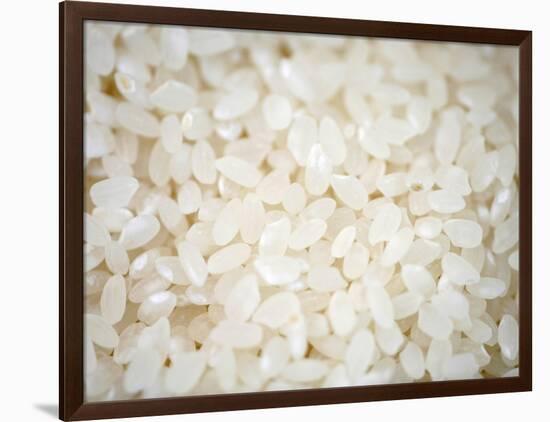 Grains Close up-Nicole Katano-Framed Photo