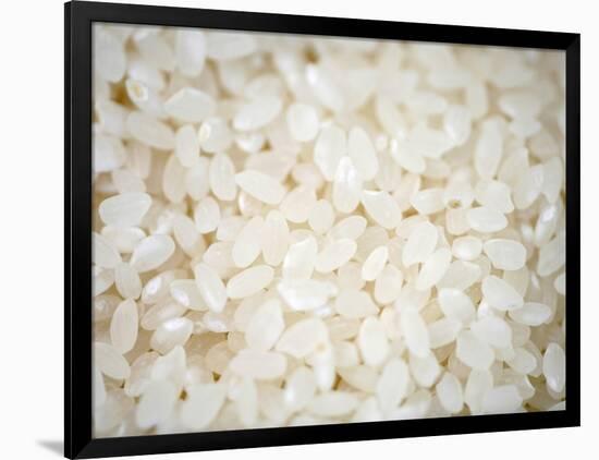 Grains Close up-Nicole Katano-Framed Photo