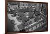 Gramercy Park-null-Framed Photographic Print