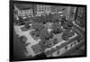 Gramercy Park-null-Framed Photographic Print