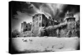 Gramont Chateau, Bidache, the Pyrenees, France-Simon Marsden-Stretched Canvas