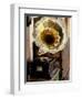 Gramophone, Bazaar Antique Shop, San Miguel de Allende, Mexico-Inger Hogstrom-Framed Photographic Print