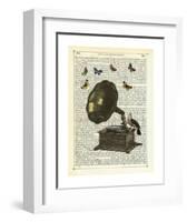 Gramophone, Bird & Butterflies-Marion Mcconaghie-Framed Art Print