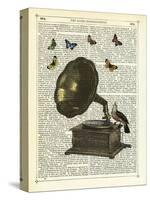 Gramophone, Bird & Butterflies-Marion Mcconaghie-Stretched Canvas