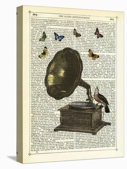 Gramophone, Bird & Butterflies-Marion Mcconaghie-Stretched Canvas