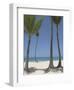Gran Bavarro II-Brian Leighton-Framed Art Print