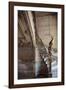 Gran Escalera-Irene Suchocki-Framed Giclee Print