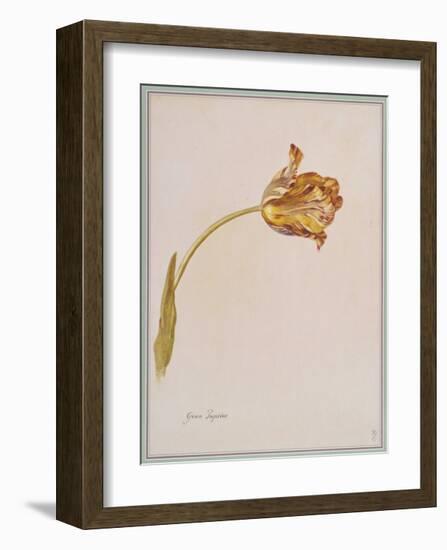 Gran Jupiter-Jakob Huysum-Framed Collectable Print