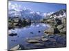 Gran Paradiso National Park, Near Valnontey Valley, Valle d'Aosta, Italy-Duncan Maxwell-Mounted Photographic Print