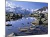 Gran Paradiso National Park, Near Valnontey Valley, Valle d'Aosta, Italy-Duncan Maxwell-Mounted Photographic Print