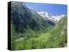 Gran Paradiso National Park, Valnontey Valley Near Cogne, Valle d'Aosta, Italy-Duncan Maxwell-Stretched Canvas