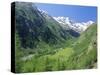 Gran Paradiso National Park, Valnontey Valley Near Cogne, Valle d'Aosta, Italy-Duncan Maxwell-Stretched Canvas