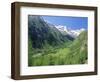 Gran Paradiso National Park, Valnontey Valley Near Cogne, Valle d'Aosta, Italy-Duncan Maxwell-Framed Photographic Print