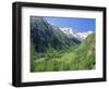 Gran Paradiso National Park, Valnontey Valley Near Cogne, Valle d'Aosta, Italy-Duncan Maxwell-Framed Photographic Print