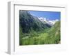 Gran Paradiso National Park, Valnontey Valley Near Cogne, Valle d'Aosta, Italy-Duncan Maxwell-Framed Photographic Print