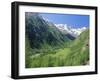 Gran Paradiso National Park, Valnontey Valley Near Cogne, Valle d'Aosta, Italy-Duncan Maxwell-Framed Photographic Print