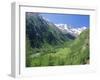 Gran Paradiso National Park, Valnontey Valley Near Cogne, Valle d'Aosta, Italy-Duncan Maxwell-Framed Photographic Print