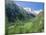 Gran Paradiso National Park, Valnontey Valley Near Cogne, Valle d'Aosta, Italy-Duncan Maxwell-Mounted Photographic Print