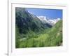 Gran Paradiso National Park, Valnontey Valley Near Cogne, Valle d'Aosta, Italy-Duncan Maxwell-Framed Photographic Print