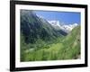 Gran Paradiso National Park, Valnontey Valley Near Cogne, Valle d'Aosta, Italy-Duncan Maxwell-Framed Photographic Print