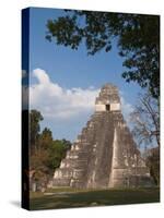 Gran Plaza and Temple I, Mayan Archaeological Site, Tikal, Guatemala-Sergio Pitamitz-Stretched Canvas