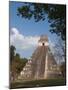 Gran Plaza and Temple I, Mayan Archaeological Site, Tikal, Guatemala-Sergio Pitamitz-Mounted Photographic Print