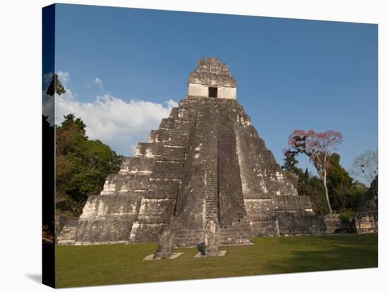 Gran Plaza and Temple I, Mayan Archaeological Site, Tikal, Guatemala-Sergio Pitamitz-Stretched Canvas