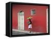 Granada, Nicaragua, Central America-Wendy Connett-Framed Stretched Canvas