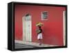 Granada, Nicaragua, Central America-Wendy Connett-Framed Stretched Canvas