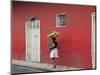 Granada, Nicaragua, Central America-Wendy Connett-Mounted Photographic Print