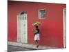 Granada, Nicaragua, Central America-Wendy Connett-Mounted Photographic Print