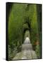 Granada, Spain, Alhambra, Famous Hedges of Gardens of the Generalife-Bill Bachmann-Framed Stretched Canvas